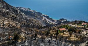 U borbu protiv požara vraćaju se koze zabranjene u bivšoj državi