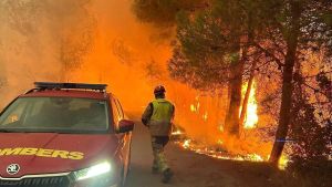 Los incendios forestales: problema estructural, reto coral