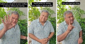 ‘Peepal Baba’ Recommends 5 Plants to Make Your Balcony Greener & Easier to Maintain