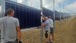 Neuer Solarpark: Vier Jahre lang geplant, in sechs Wochen gebaut