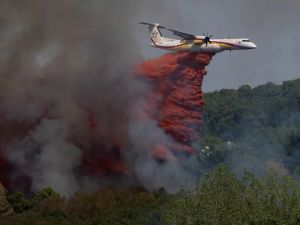 Feux de forêts : le carburant écologiste !