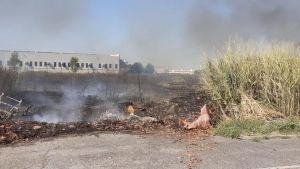 Il piromane di Ceggia davanti al giudice: «Volevo fare pulizia»