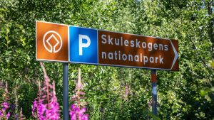 Höga Kusten slutar inte i Kramfors