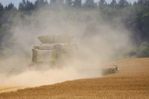 Die AfD ist blank beim Klimaschutz