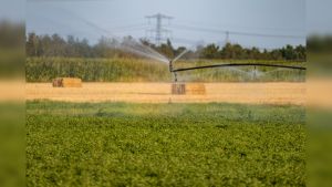 Personeel dat naleving sproeiverbod checkt geïntimideerd, Brabants waterschap doet aangifte
