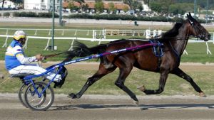 La leggenda Varenne. E' morto il miglio cavallo della storia del trotto