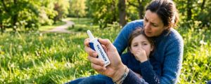 Calabrone, la puntura che può diventare un’emergenza: chi rischia e come salvarsi