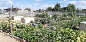 Una paradoja rural: los habitantes del campo español lo tienen más difícil para comer de forma sostenible