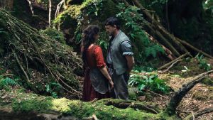 Auf keinem grünen Zweig: Bekommen wir den Wald unserer Kindheit bald nur noch im Kino zu sehen?