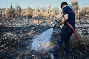 Sapeurs-pompiers volontaires : derrière la passion, un « travail dissimulé »