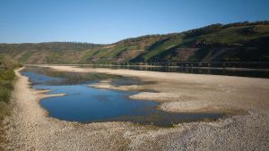 Folgen der Trockenheit: aufgewühlte Seelenlandschaft