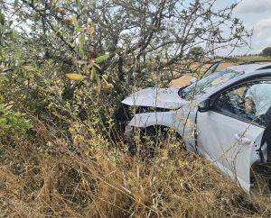 Auto contro un albero, incidente sulla Ruvo-Altamura