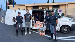 Aveva 57 chili di droga ‘refrigerata’ nel furgone: arrestato corriere a Monte San Savino