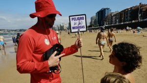 Una llegada masiva de centenares de carabelas portuguesas pone en alerta a todas las playas de Gijón: 