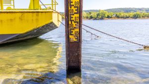 Rekonvaleszenter des Tages: Rhein