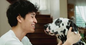 Can Dogs Become Bilingual?