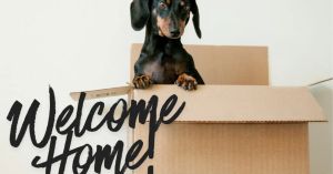 Living With Parents as a Young Adult: The Unexpected Bonus