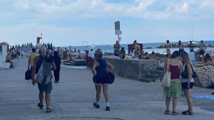Arriva l’alga tossica al Passetto, bagni sconsigliati: l’allerta e cosa sapere