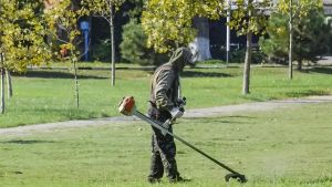 Cura del verde. Comune cerca associazioni