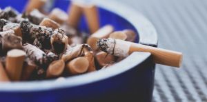 One Nation wants to cut the tobacco tax. Would that curb the illicit cigarette market?