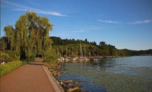Fuochi sul lago di Viverone, protestano gli ambientalisti