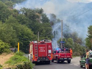 Quasi raddoppiati i fascicoli in procura di Ivrea per incendio boschivo rispetto al 2025