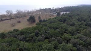 Lido Volano, spari all’alba in pineta: mistero sulle raffiche