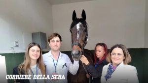 Addio Varenne, Daniele Giordano, figlio di Enzo, storico proprietario del campione: «Era un essere speciale. Ha cambiato la mia vita»