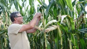 Crisi dell’agricoltura nel Bellunese, Donazzolo: «Produzioni giù dal 20 al 30 per cento»