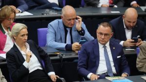 Koja etiketa bolje pristaje stranci AfD?