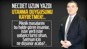 Necdet Uzun yazdı: Utanma duygusunu kaybetmek!..