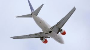 Staten borde ge räddningen av flyget en chans