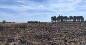 Woodland site reopens to public after month-long recovery from wildfire