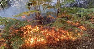 Firefighters dealt with smouldering heath for THREE days after major blaze