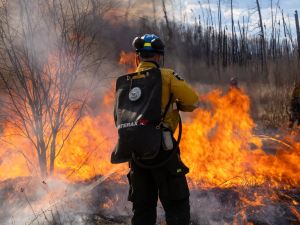Opinion: Wildfires can’t wait on climate-change policy