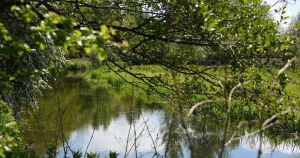Water company appears in court over pollution incident on Norfolk river