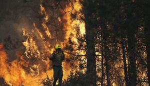 Oakland fined this couple $915,000 for preventing fires. That’s 18 times the penalty for actual arson