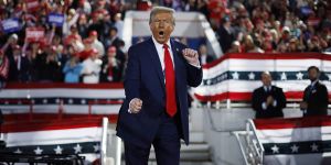 The Trolling of American Democracy