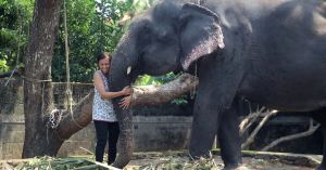 These Elephant Photos by a NatGeo Filmmaker Reveal the Family Bonds We Rarely See