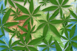 Rethinking the haphazard marijuana social experiment
