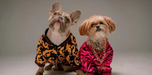 Why we give our cats, dogs and other pets social media accounts