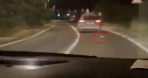 VIDEO Nevjerojatna scena na Ugljanu: Pogledajte što je izletjelo iz policijskog vozila