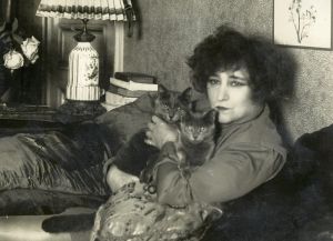 Les chats, chevaliers des Arts et des Lettres