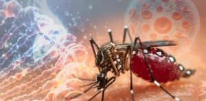 La incógnita del virus del Nilo Occidental: ¿por qué puede convertirse en una amenaza mortal para algunas personas?