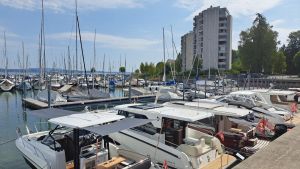 Naturschützer kritisieren wegen unveröffentlichter Bodensee-Studie das Verkehrsministerium