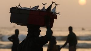 Column: What It Means to Build a Truly Sustainable Ocean Economy