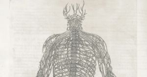 From Head to Toe: Panic Is a Whole-Body Experience