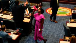 Socialists shove the Resistance aside in Florida