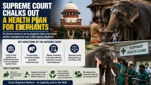 Supreme Court Chalks Out A Health Plan For Elephants
