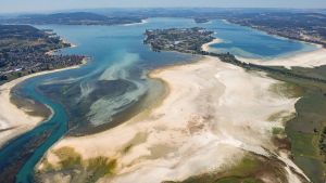 Appell an Wassersportler auf dem Bodensee: Bitte lasst den Vögeln in dieser Dürrezeit genug Platz!